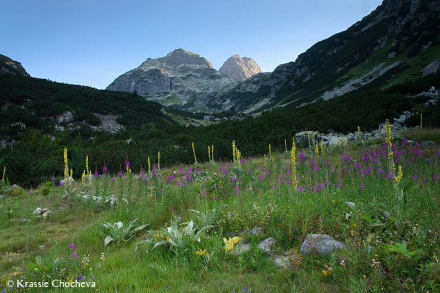 DSC07237Rila 1200